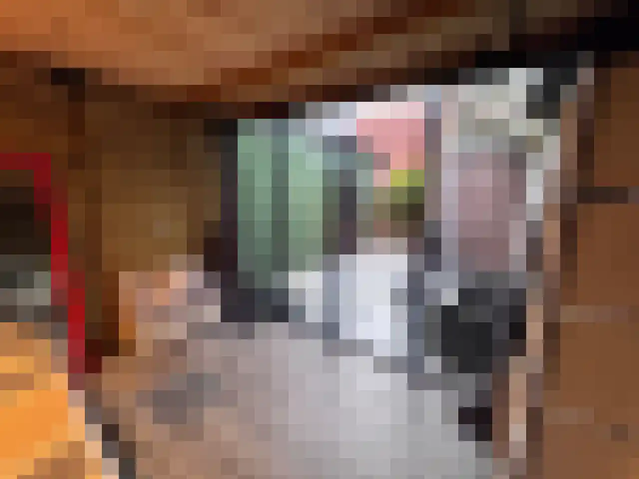 Steijnstraat 2 Wormerveer thumbnail 34