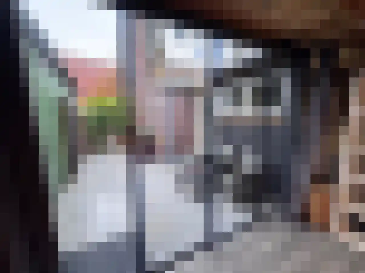 Steijnstraat 2 Wormerveer thumbnail 36