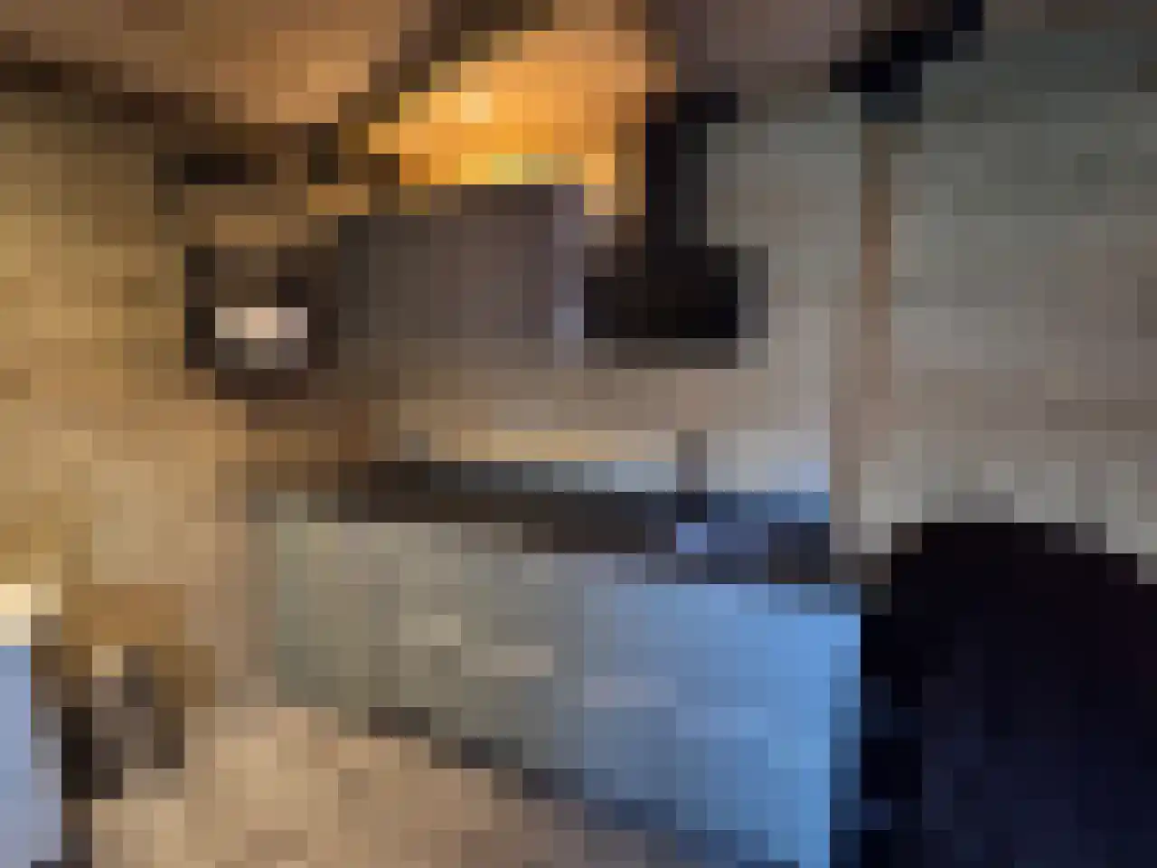 Steijnstraat 2 Wormerveer thumbnail 38