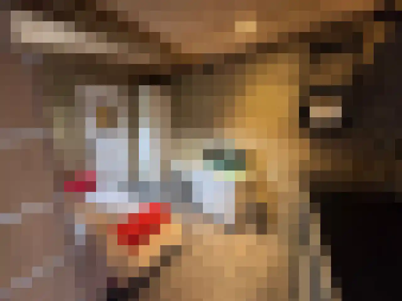 Steijnstraat 2 Wormerveer thumbnail 40