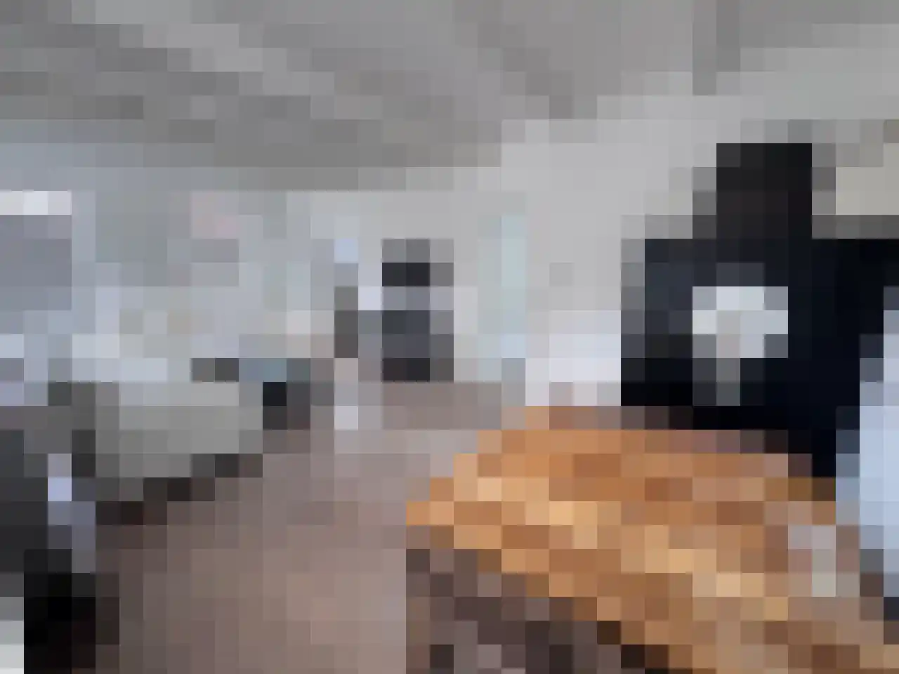 Steijnstraat 2 Wormerveer thumbnail 7