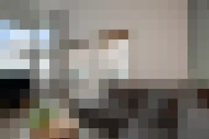 Steijnstraat 20 Wormerveer thumbnail 4