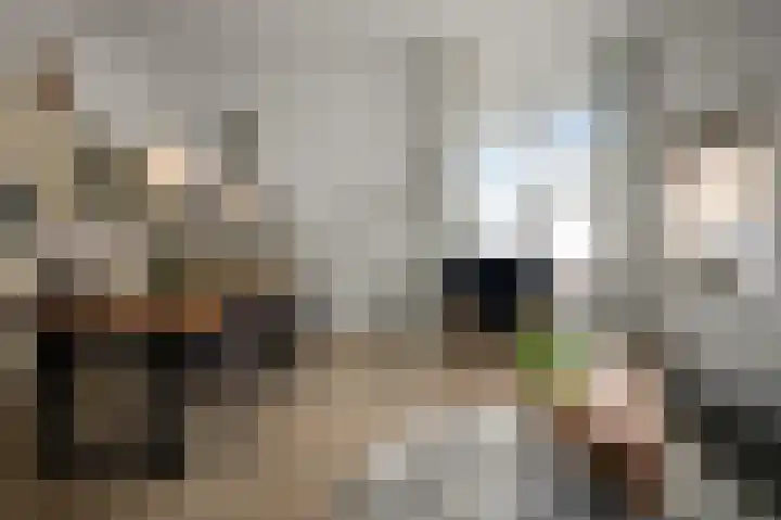 Steijnstraat 20 Wormerveer thumbnail 5