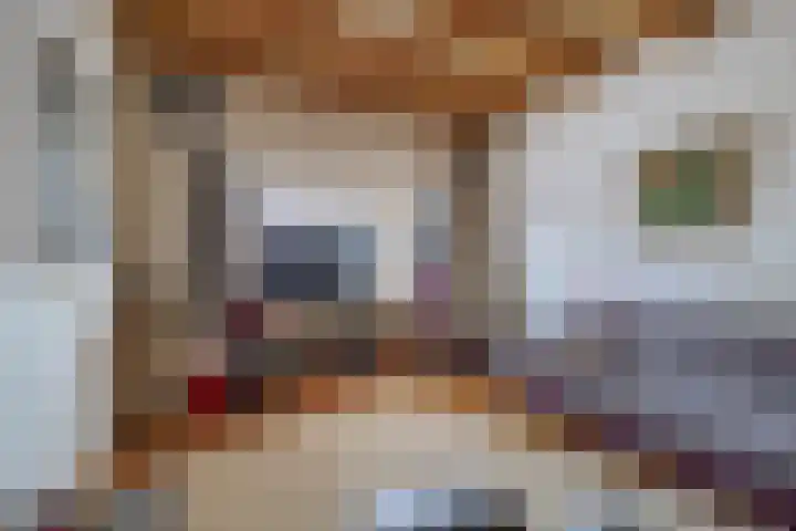 Steijnstraat 7 Wormerveer thumbnail 12