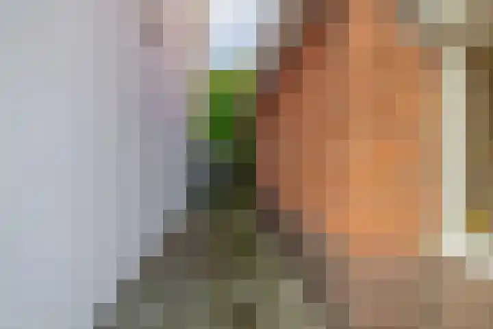 Steijnstraat 7 Wormerveer thumbnail 7