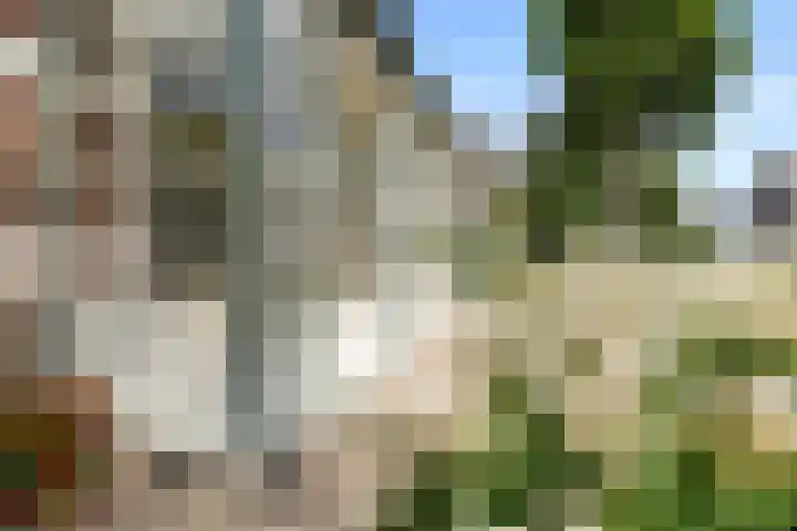 Steijnweg 32 Oosterbeek thumbnail 12