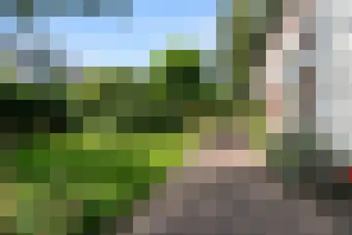 Steijnweg 32 Oosterbeek thumbnail 39