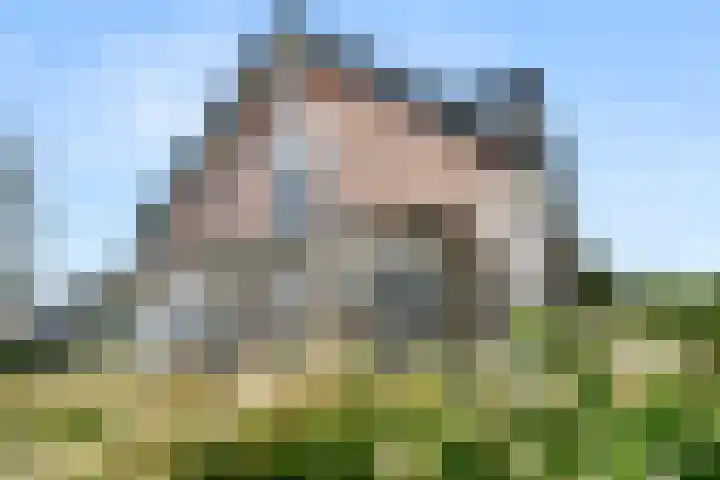 Steijnweg 32 Oosterbeek thumbnail 4