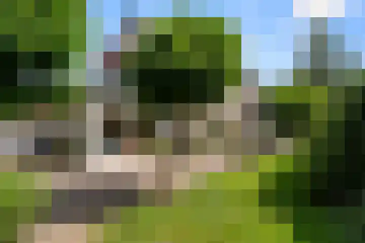 Steijnweg 32 Oosterbeek thumbnail 42