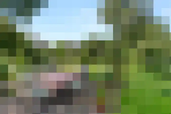 Steijnweg 32 Oosterbeek thumbnail 43