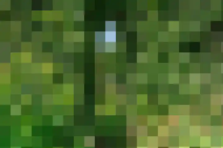 Steijnweg 32 Oosterbeek thumbnail 44