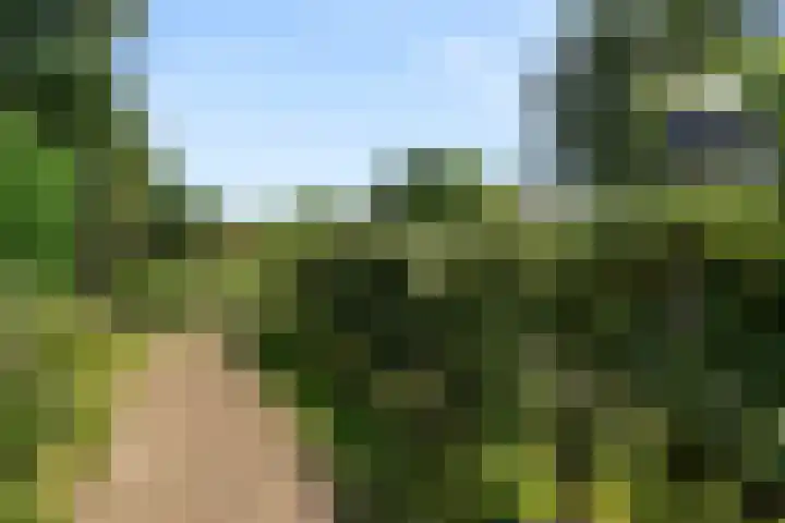 Steijnweg 32 Oosterbeek thumbnail 45