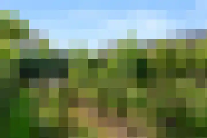 Steijnweg 32 Oosterbeek thumbnail 46