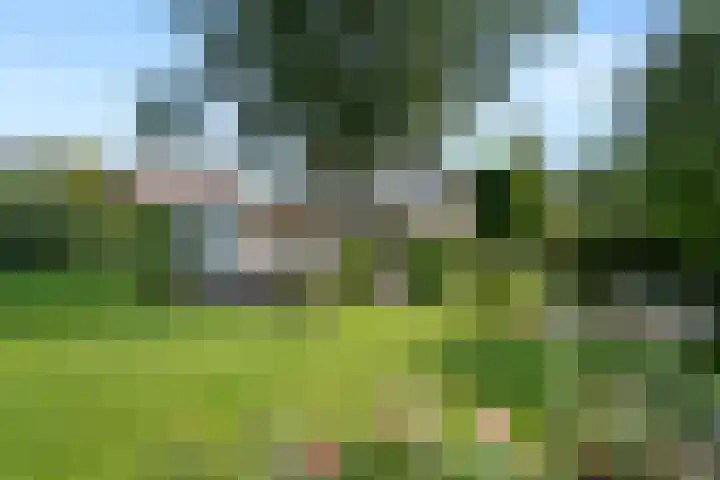 Steijnweg 32 Oosterbeek thumbnail 47