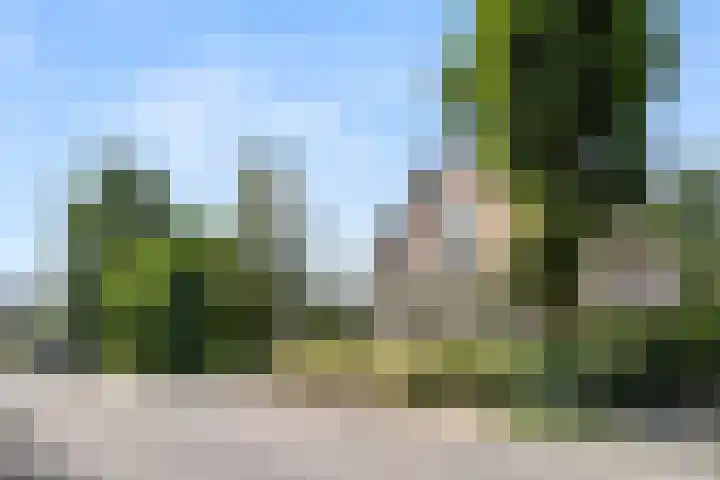 Steijnweg 32 Oosterbeek thumbnail 52