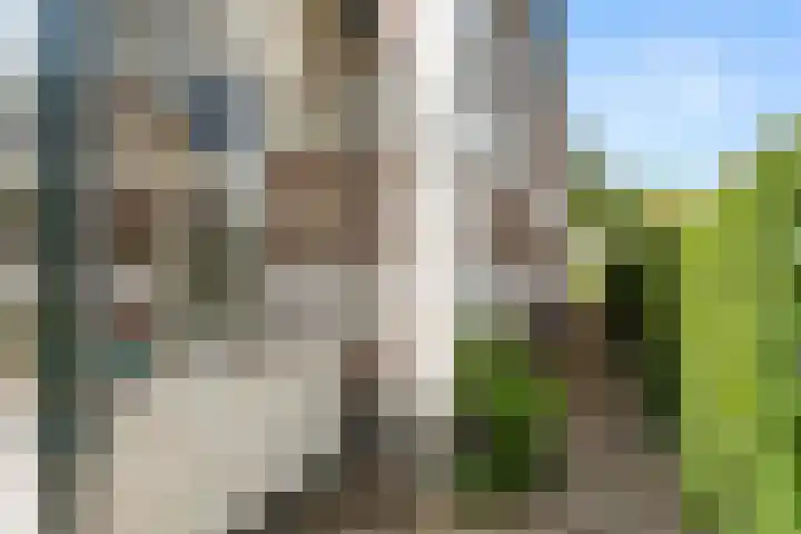 Steijnweg 32 Oosterbeek thumbnail 53