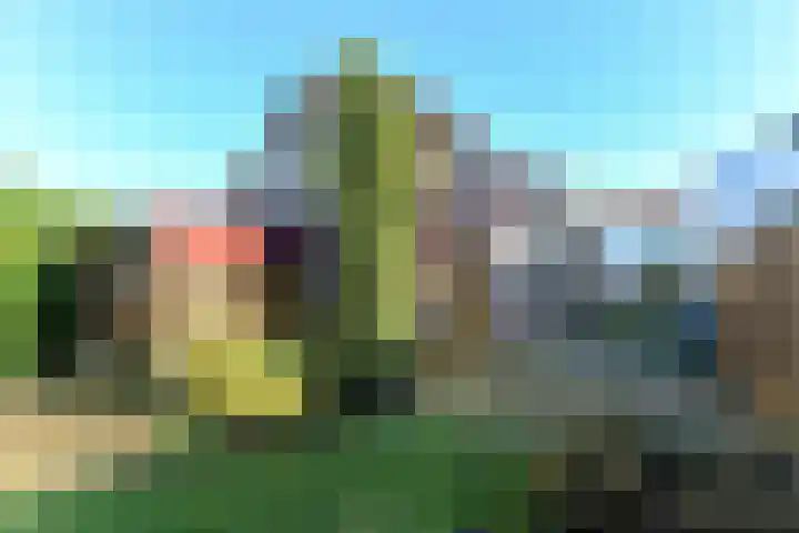 Steijnweg 46 Oosterbeek thumbnail 26