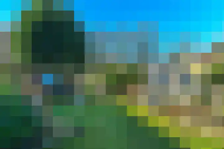 Steijnweg 46 Oosterbeek thumbnail 29