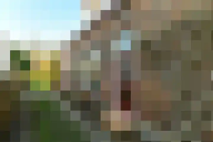 Steijnweg 46 Oosterbeek thumbnail 5