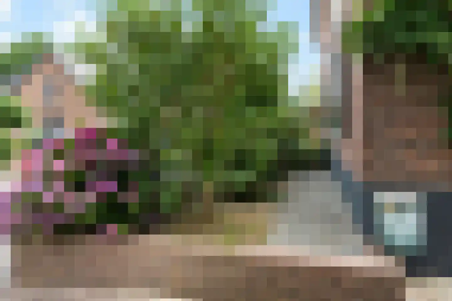 Steijnweg 51 Oosterbeek thumbnail 4