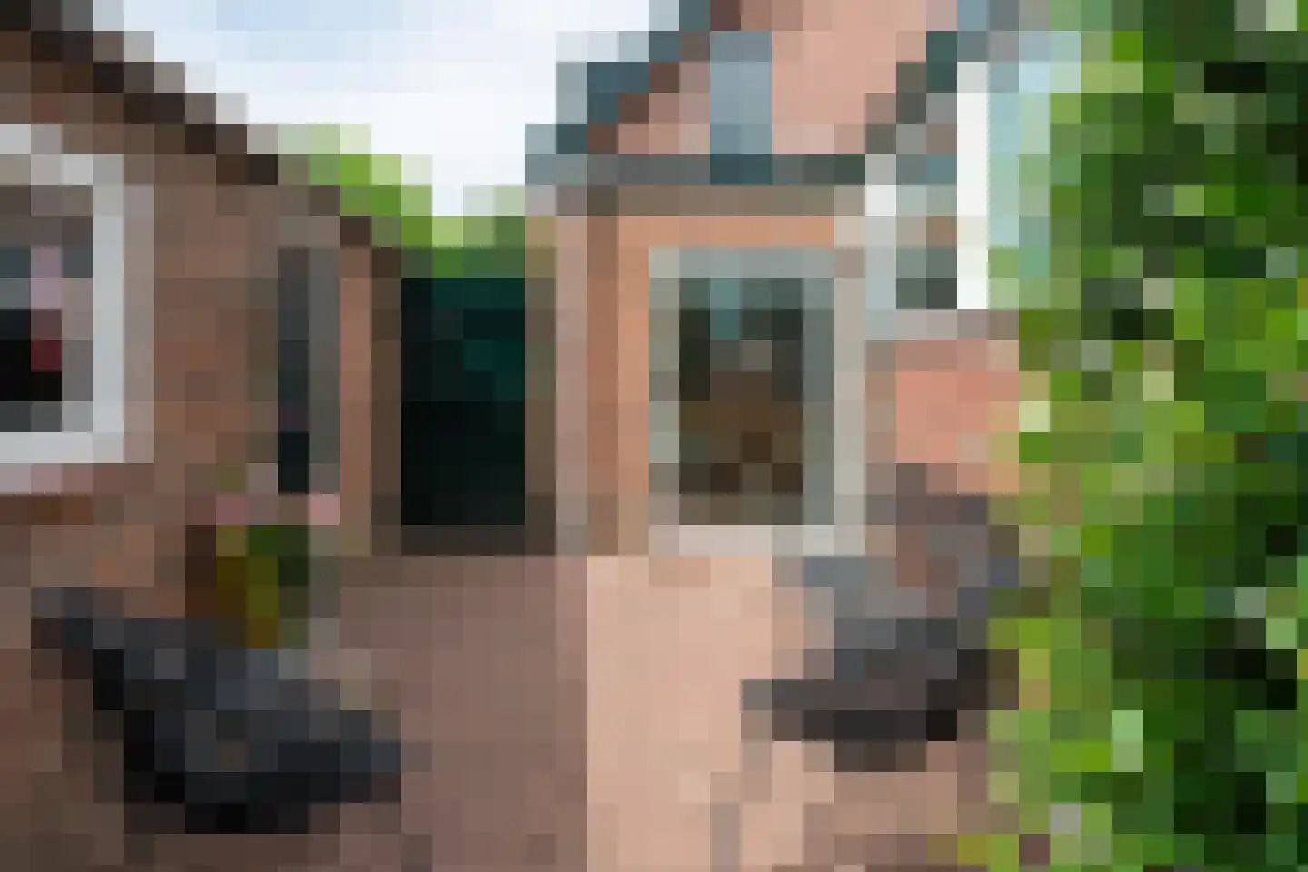 Steijnweg 51 Oosterbeek thumbnail 46