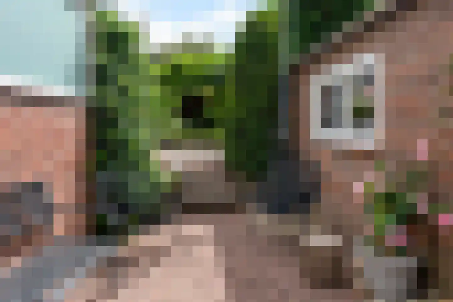 Steijnweg 51 Oosterbeek thumbnail 48