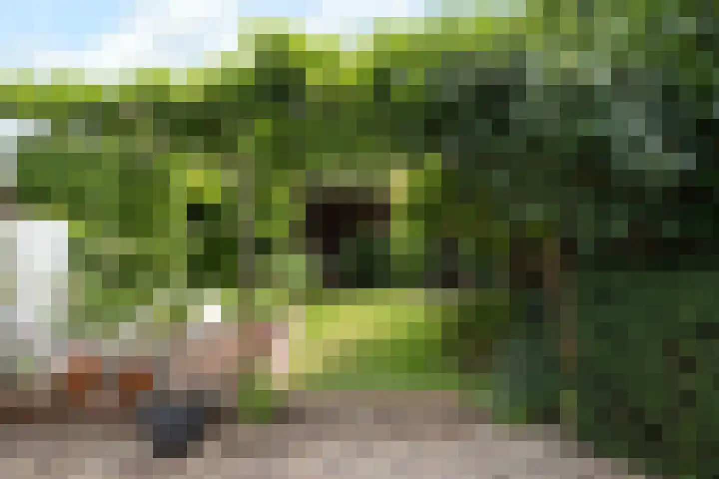 Steijnweg 51 Oosterbeek thumbnail 49