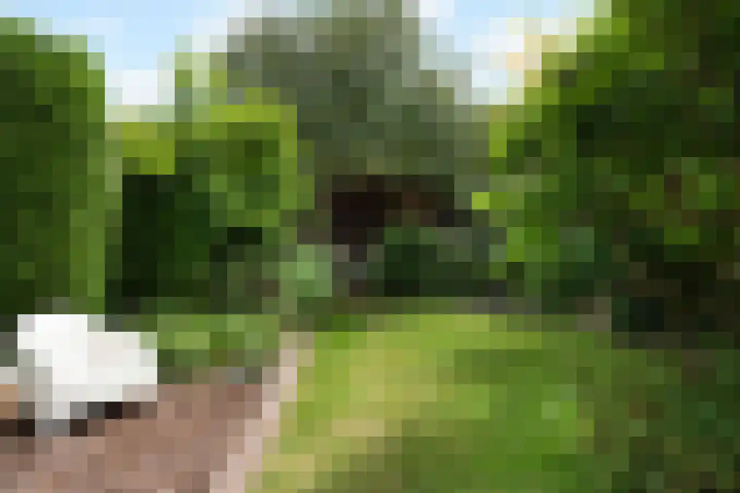 Steijnweg 51 Oosterbeek thumbnail 51