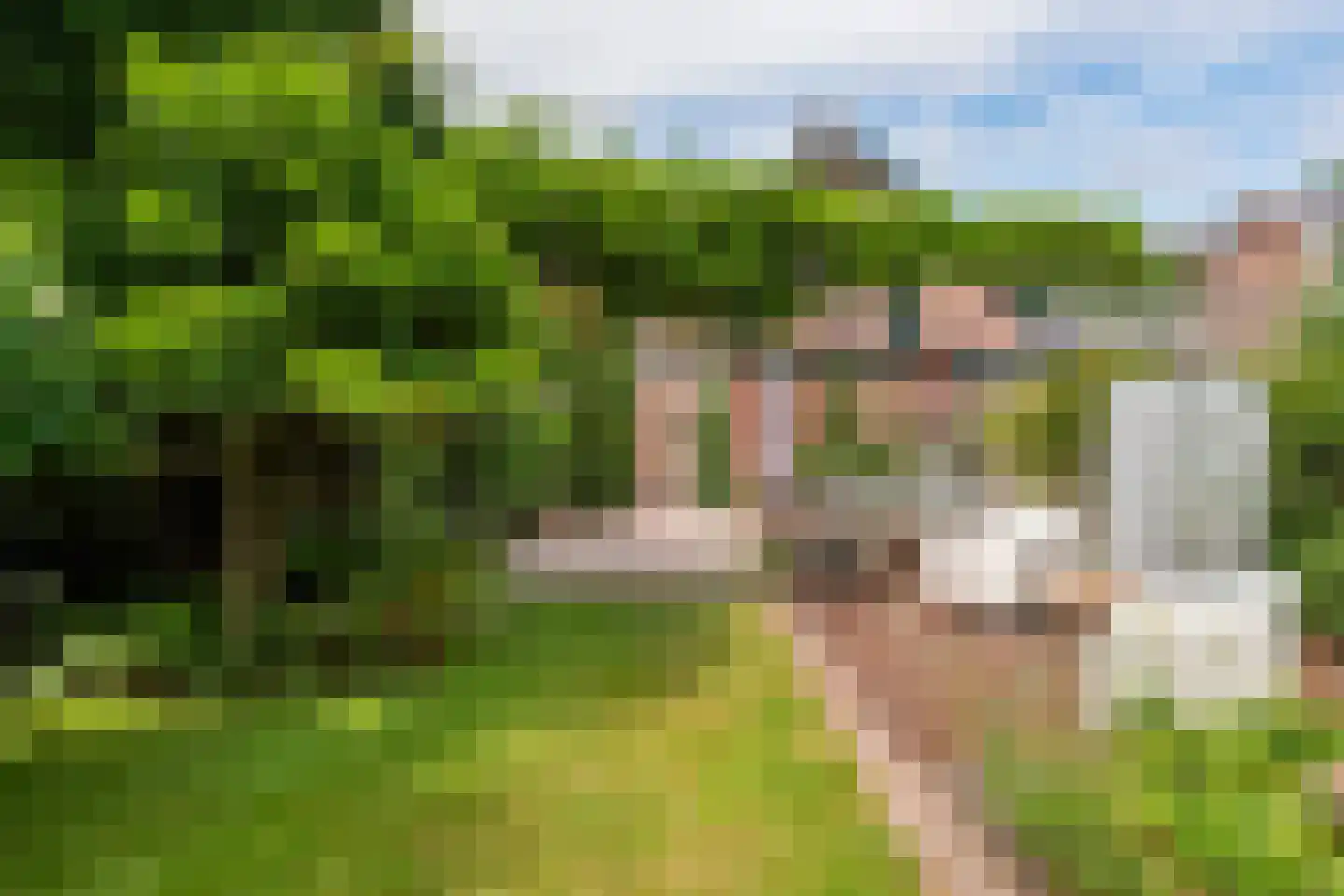 Steijnweg 51 Oosterbeek thumbnail 53