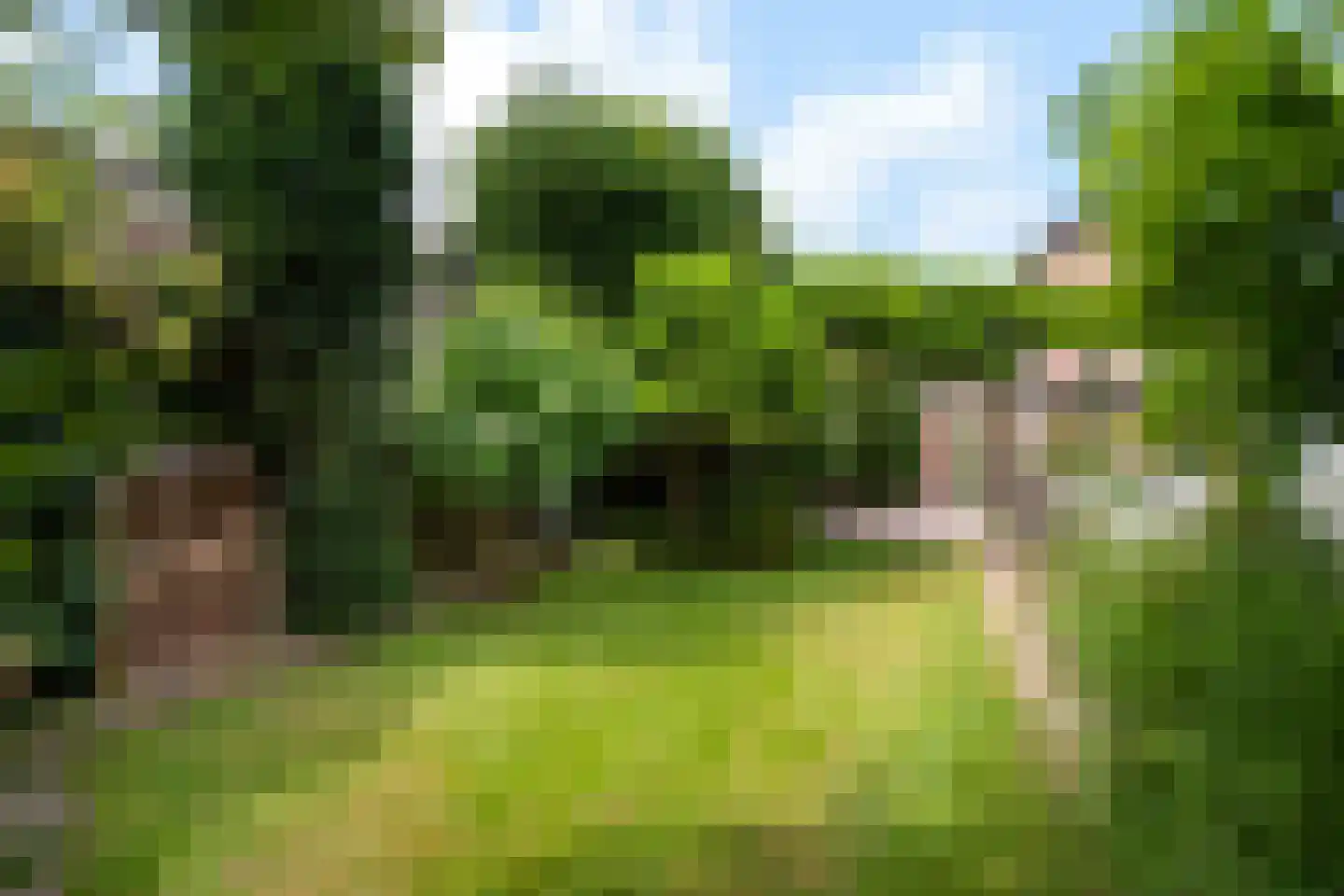 Steijnweg 51 Oosterbeek thumbnail 54