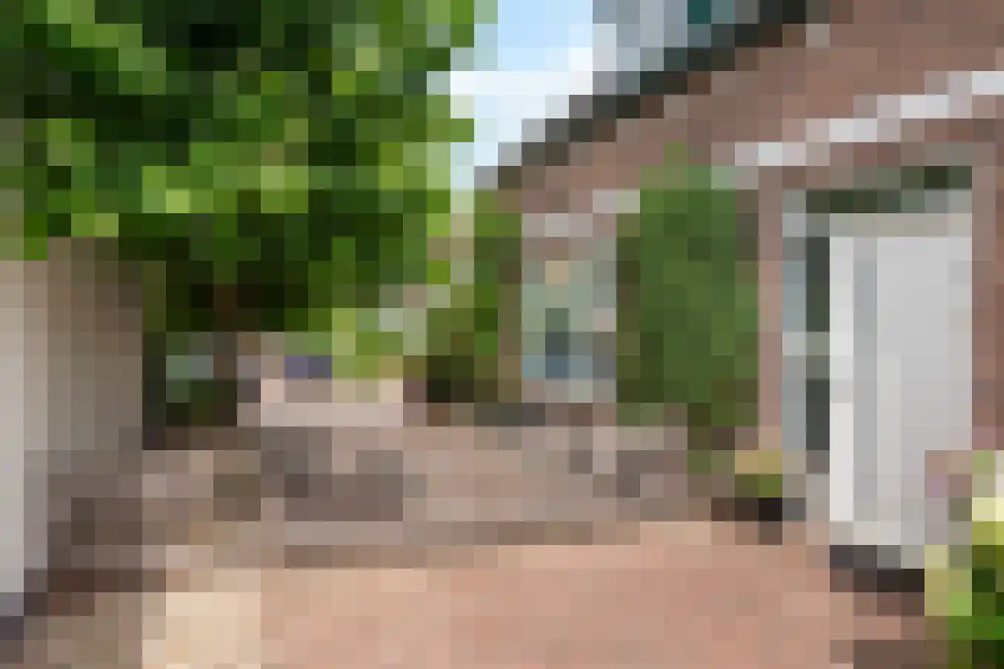Steijnweg 51 Oosterbeek thumbnail 6