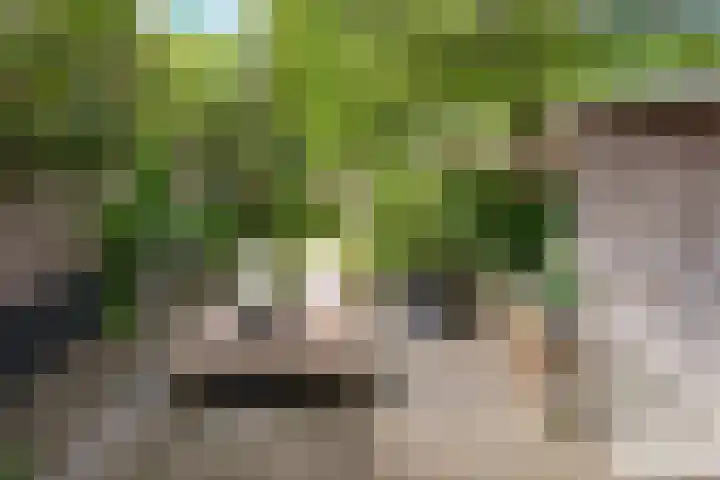 Steijnweg 62 Oosterbeek thumbnail 21