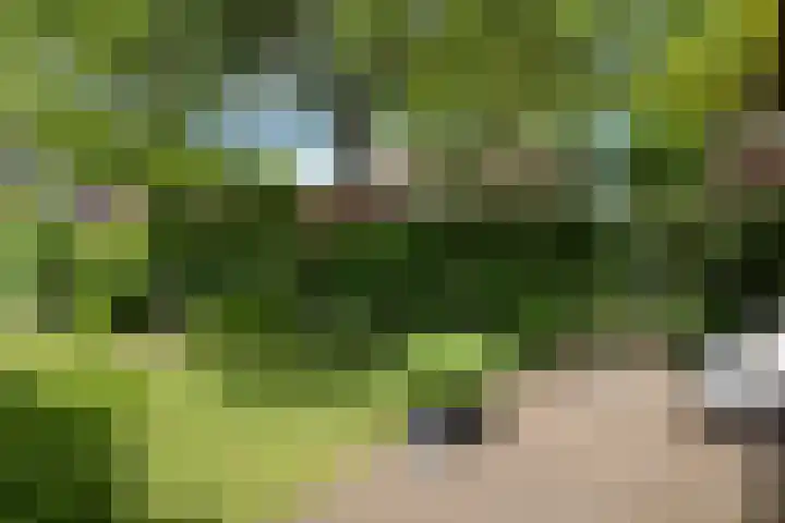 Steijnweg 62 Oosterbeek thumbnail 42