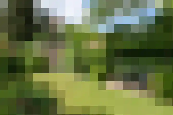 Steijnweg 62 Oosterbeek thumbnail 43