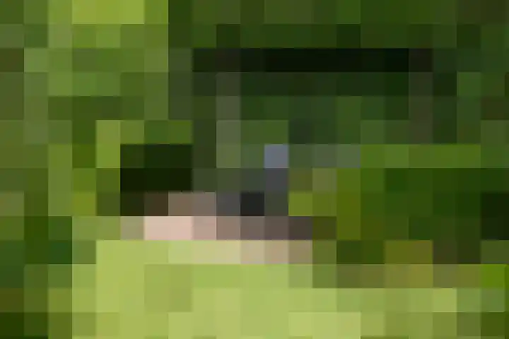 Steijnweg 62 Oosterbeek thumbnail 44