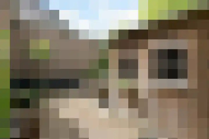 Steijnweg 62 Oosterbeek thumbnail 53