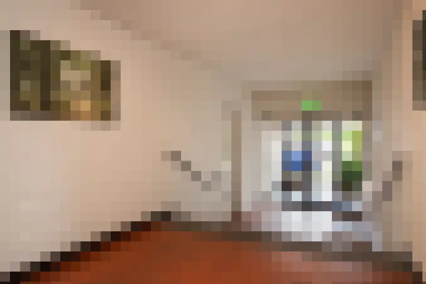 Steijnweg 7 E Oosterbeek thumbnail 5