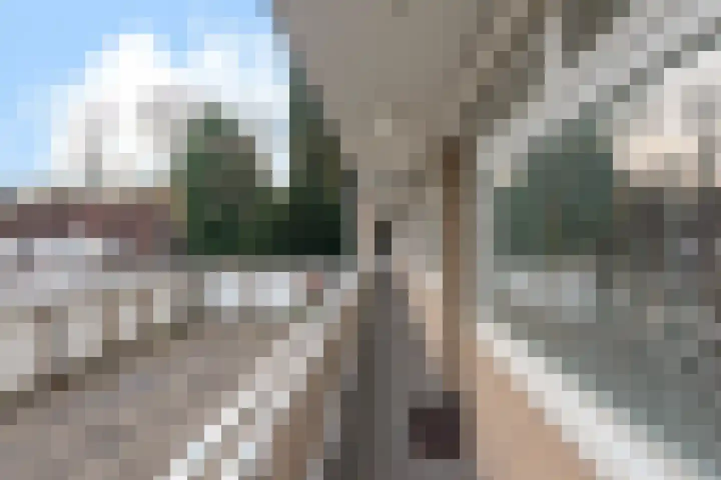 Steijnweg 7 E Oosterbeek thumbnail 9