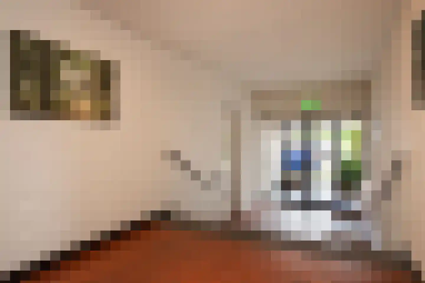 Steijnweg 7 G Oosterbeek thumbnail 6