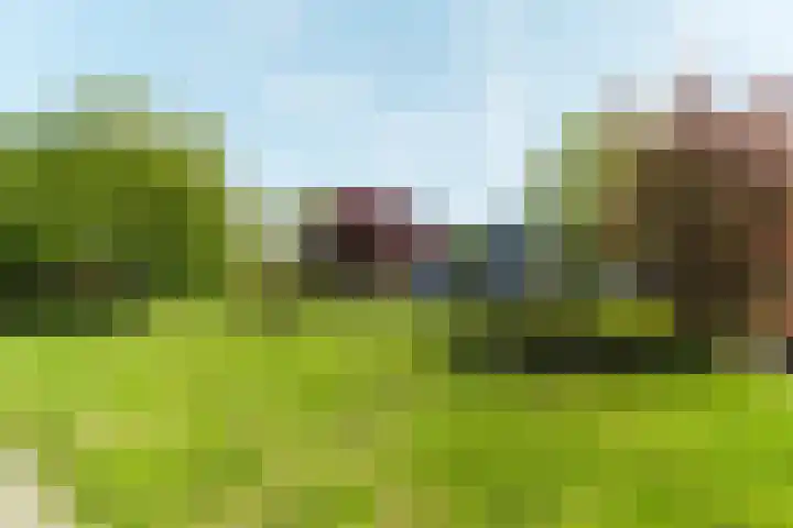 Steile Bank 25 Lelystad thumbnail 51
