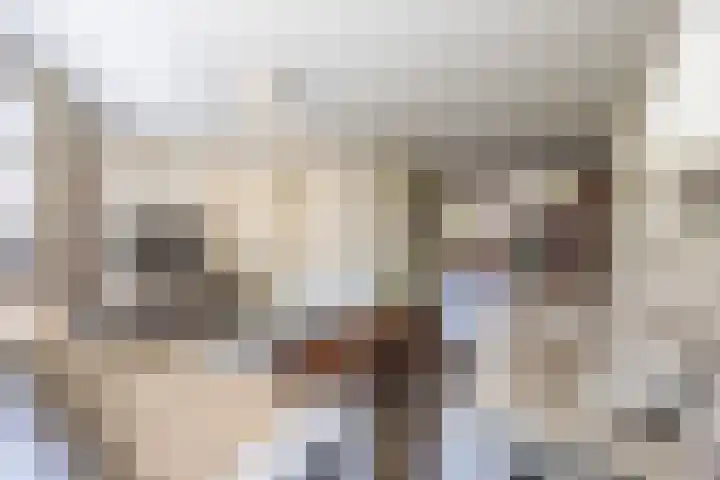 Steilrand 16 Gemert thumbnail 10