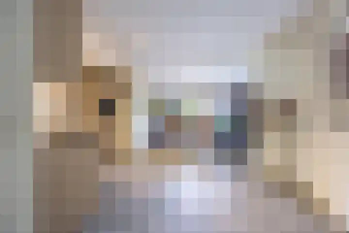 Steilrand 16 Gemert thumbnail 11