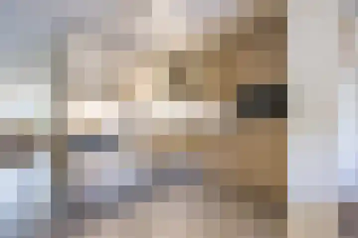 Steilrand 16 Gemert thumbnail 13