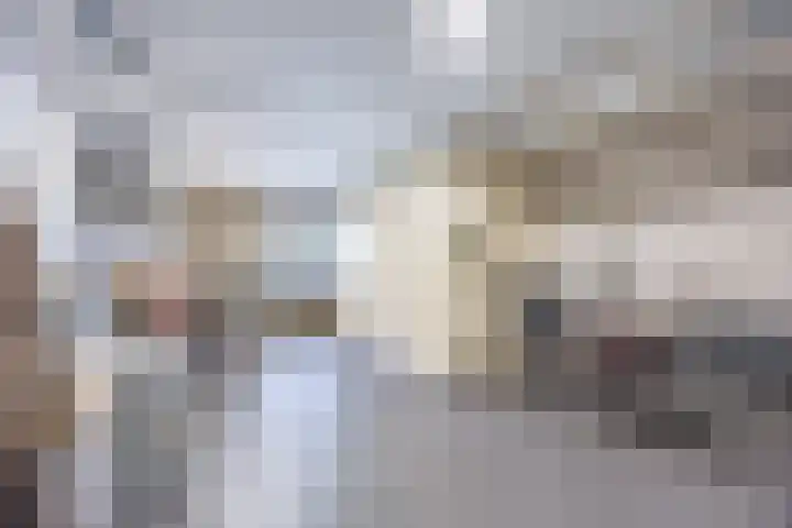 Steilrand 16 Gemert thumbnail 19