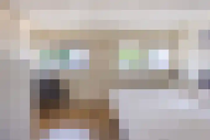 Steilrand 16 Gemert thumbnail 23
