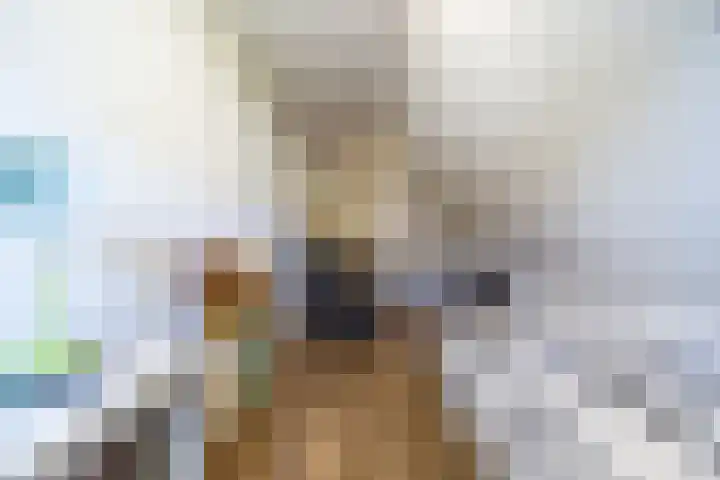 Steilrand 16 Gemert thumbnail 26