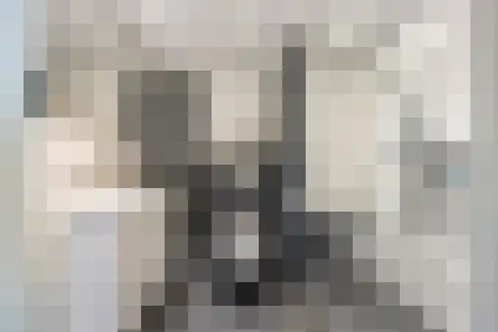 Steilrand 16 Gemert thumbnail 29