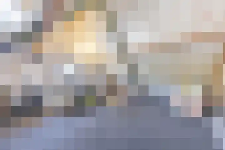Steilrand 16 Gemert thumbnail 33