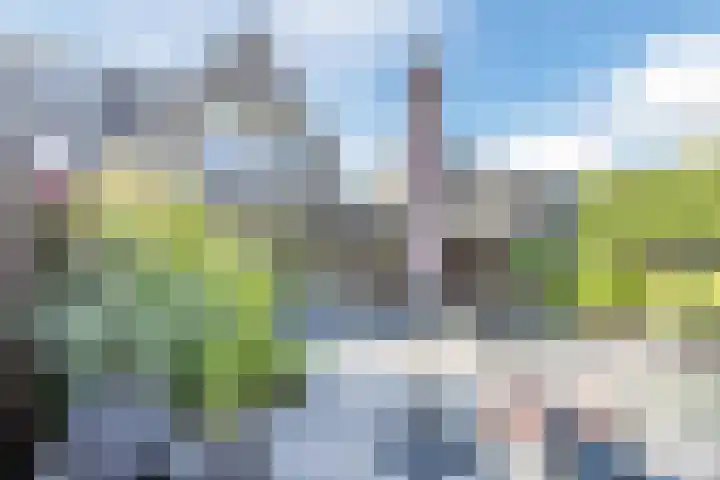 Steilrand 16 Gemert thumbnail 36
