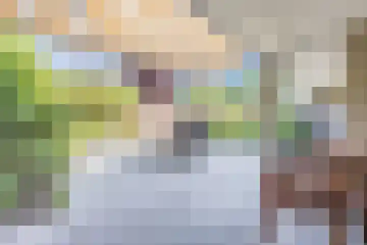 Steilrand 16 Gemert thumbnail 38